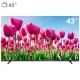 تلویزیون دوو 43 اینچ مدل DLE-43M6000EM