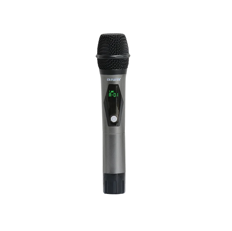 MIC-photo